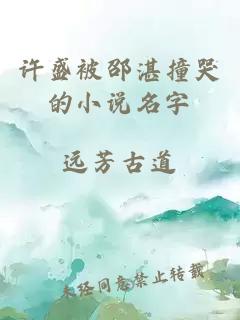 许盛被邵湛撞哭的小说名字