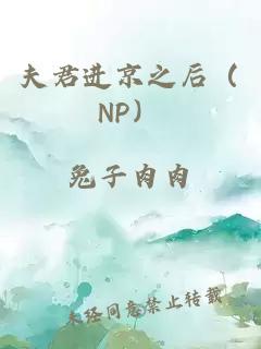 夫君进京之后（NP）