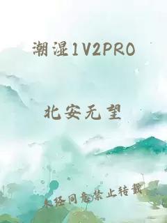 潮湿1V2PRO