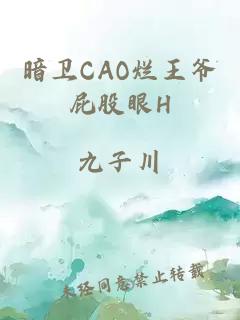 暗卫CAO烂王爷屁股眼H