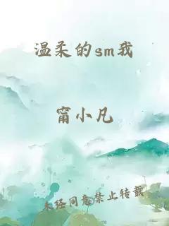 温柔的sm我