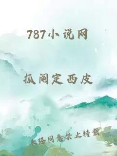 787小说网