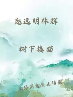 赵远明林辉