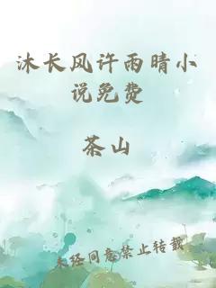 沐长风许雨晴小说免费