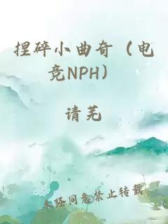 捏碎小曲奇（电竞NPH）