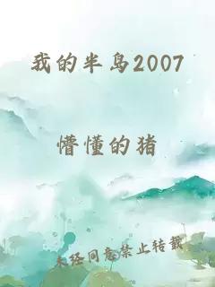 我的半岛2007