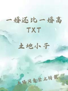 一婚还比一婚高TXT