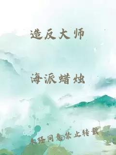 造反大师