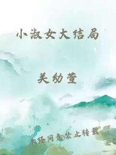 小淑女大结局