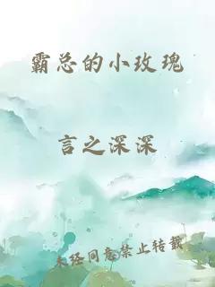 霸总的小玫瑰