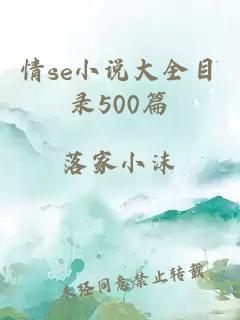 情se小说大全目录500篇