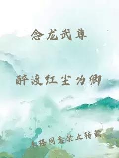 念龙武尊