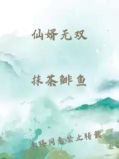 仙婿无双