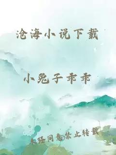 沧海小说下载