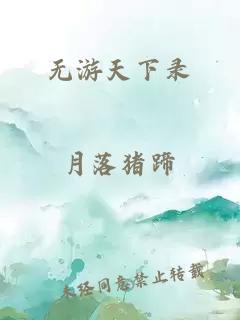 无游天下录