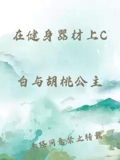 在健身器材上C