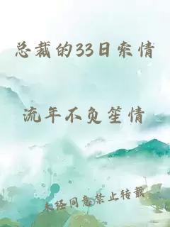 总裁的33日索情