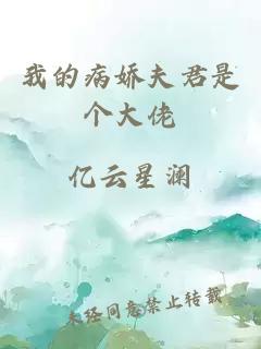 我的病娇夫君是个大佬