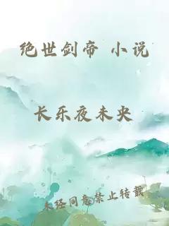 绝世剑帝 小说