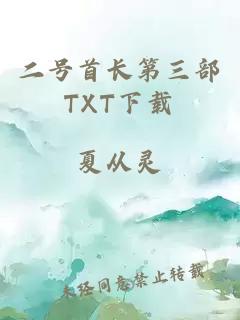 二号首长第三部TXT下载