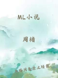 ML小说