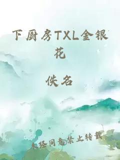 下厨房TXL金银花