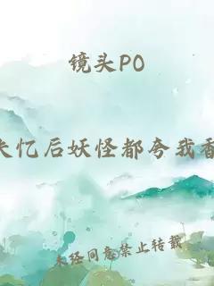 镜头PO