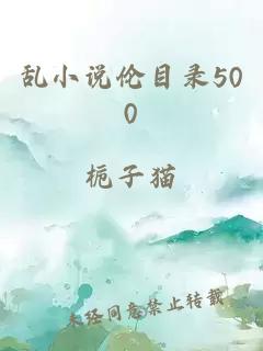 乱小说伦目录500