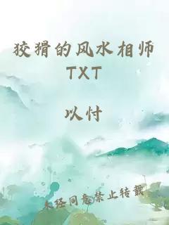 狡猾的风水相师TXT