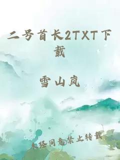 二号首长2TXT下载