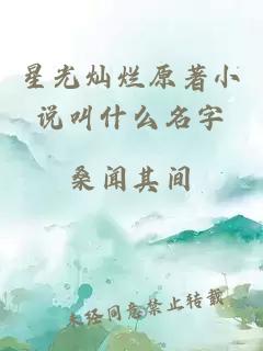 星光灿烂原著小说叫什么名字