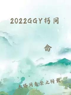 2022GGY钙同