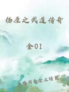 杨康之武道传奇