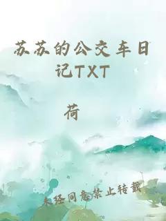 苏苏的公交车日记TXT