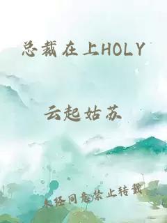 总裁在上HOLY