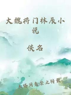 大魏将门林辰小说