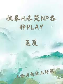 粗暴H疼哭NP各种PLAY