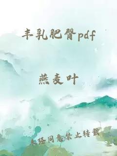 丰乳肥臀pdf