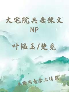 大宅院共妻辣文NP