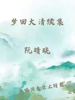 梦回大清续集